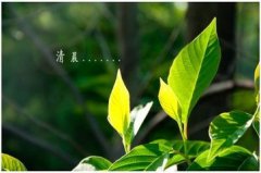 <b>基督教界学者们和牧者们的见证</b>