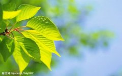 当别人忠心受苦,你我岂能安坐不动呢?