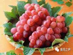 我们是什么，我们是谁？